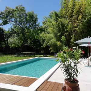 a swimming pool in a yard with a wooden deck at Château des Salles in Saint-Fort-sur-Gironde