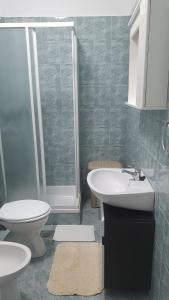 a bathroom with a toilet and a sink and a shower at Apartments Vera Barbariga in Barbariga