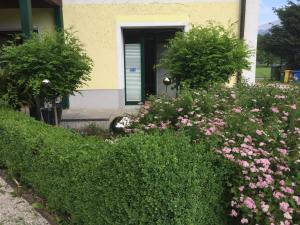 Zahrada ubytování Appartements im Forsthaus