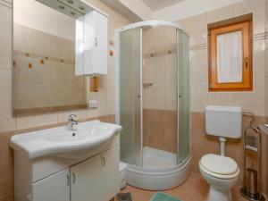 łazienka z umywalką, prysznicem i toaletą w obiekcie Apartment Jukić-3 by Interhome w mieście Kaštelir