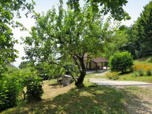 Due CossaniにあるApartment Fiorella - LUI600 by Interhomeのベンチ付き公園内の木