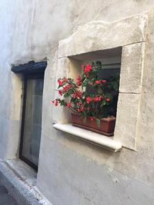 una ventana con una maceta en el alféizar de la ventana en Chambre d hote de charme avec plein d authenticité du 13 ème siècle, en Châteauneuf-du-Pape