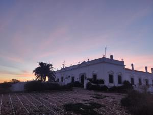 ein weißes Gebäude mit einer Palme davor in der Unterkunft Dehesa El Águila 