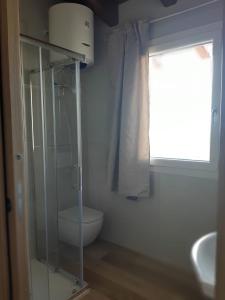 een badkamer met een toilet en een glazen douche bij B&B LE AGAVI in Borso del Grappa