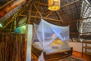 a bedroom with a bed with a mosquito net at Evergreen Bungalows in Bwejuu +192 photos