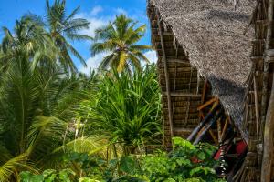 Blick auf ein Gebäude mit Palmen im Hintergrund in der Unterkunft Evergreen Bungalows in Bwejuu