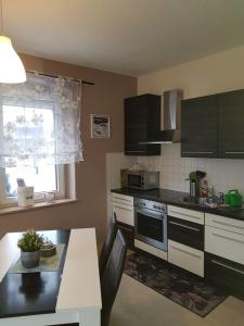 Η κουζίνα ή μικρή κουζίνα στο Ferienwohnung Alina, Limbach-Oberfrohna