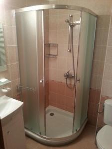 W łazience znajduje się prysznic ze szklanymi drzwiami. w obiekcie Апартмент Blue Sky w Swetim Własie