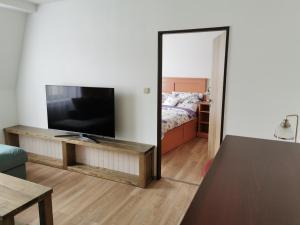 Televízia a/alebo spoločenská miestnosť v ubytovaní Luxusní apartmány Soběslav