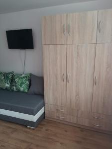 Ubytovanie Janka في Handlová: غرفة معيشة مع أريكة وخزانة خشبية