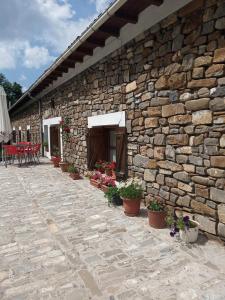a stone building with potted plants on a patio at Albergue Borda Nadal in Ansó