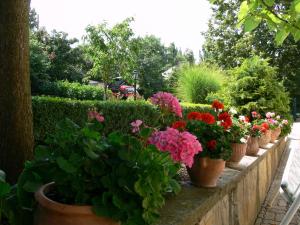 A garden outside Hársfa Szálló