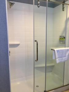 a shower with a glass door in a bathroom at Holiday Inn Express - Grand Island, an IHG Hotel in Niagara Falls