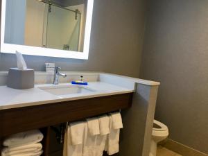 a bathroom with a sink and a toilet and a mirror at Holiday Inn Express - Grand Island, an IHG Hotel in Niagara Falls