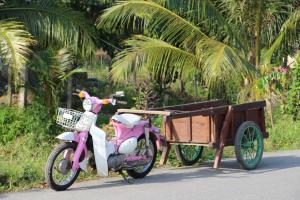 Fotografie z fotogalerie ubytování Gite Nam Hien Mekong v destinaci Cho Lach