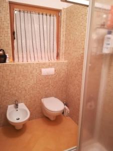uma casa de banho com um WC, um lavatório e um chuveiro em App. Frassino em Sappada