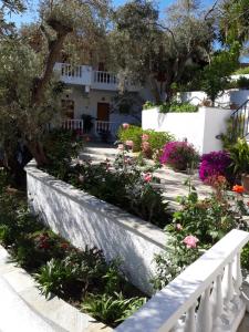 A garden outside Olive Grove View