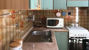 cocina con fregadero y microondas en Welcomely - Casa Vacanze Zarinu en Orgosolo