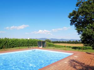 a swimming pool with a view of a vineyard at Holiday Home Boriano-4 by Interhome in Lubriano