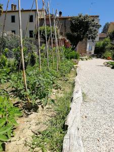Fotografie z fotogalerie ubytování Casa di Vania v destinaci San Feliciano
