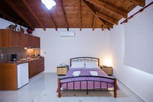 A kitchen or kitchenette at Vasso Apartments 3