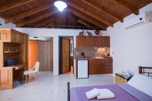 A kitchen or kitchenette at Vasso Apartments 3