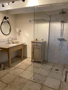 uma casa de banho com um chuveiro, um lavatório e um espelho. em Gite La Grange de Jeanne em Rancon