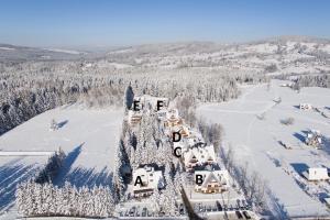an aerial view of a village in the snow at udanypobyt Apartamenty Przy Dolinach E i F in Kościelisko