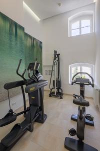 The fitness centre and/or fitness facilities at Wesenufer Hotel & Seminarkultur an der Donau
