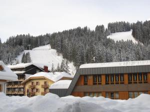 Bilocali Alberti - Rainalter v zimě