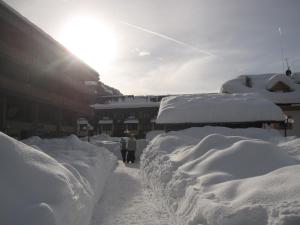 Bilocali Alberti - Rainalter v zimě