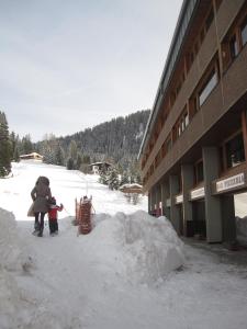 Bilocali Alberti - Rainalter v zimě