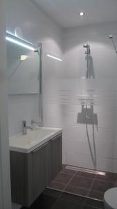 een badkamer met een wastafel, een spiegel en een toilet bij Housing De Brouwerij in Westdorpe