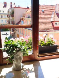 wazon na parapecie z rośliną w obiekcie Apartamenty Stary Browar Oleśnica w mieście Oleśnica