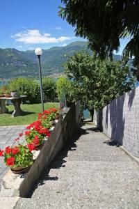 a row of flowers in pots on a sidewalk at Hotel Helvetia in Lezzeno