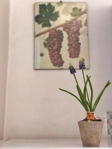 a plant in a vase in front of a painting of grapes at Residenza Celeste al 28 in Ischia