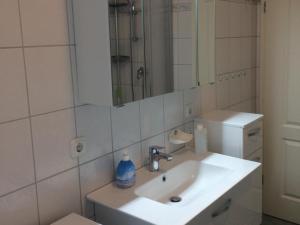 Ένα μπάνιο στο Ferienwohnung Seeadler +20 φωτογραφίες