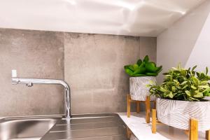 a kitchen with a sink and two potted plants at Kerala 49, Deluxe Flat in Historic Center in Peniche