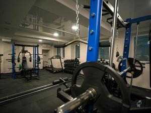 Fitness centrum a/nebo fitness zařízení v ubytování Hotel Royal