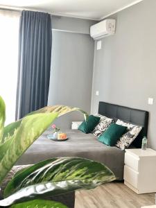 Un dormitorio con una cama con almohadas verdes y una planta en B&B Le Palme, en Cassino