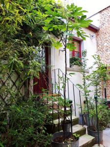 a house with trees and stairs in front of a door at lapetitemaisondeparis in Paris