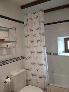 a bathroom with a toilet and a shower curtain at Casa Fonso in Villapedre +15 photos