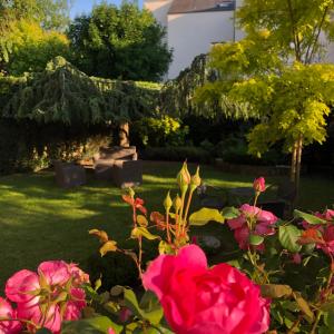 a garden with pink flowers in a yard at Urban Style Hôtel des Cèdres in Orléans