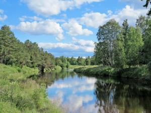 a river with trees and clouds in the sky at Chalet Vemhån Byn - HJD062 by Interhome in Vemhån