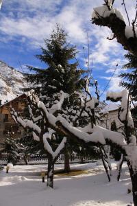 a snow covered tree in front of a house at Hotel Saurat in Espot