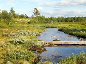 a log bridge over a river in a field at Chalet Storsätern Dyllen - DAN080 by Interhome in Idre