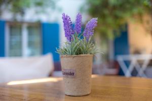 un jarrón de corcho con flores púrpuras sentado en una mesa en Fereniki Studios en Plati