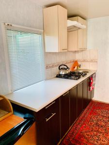 a kitchen with a stove and a counter top at Otdykh u moria in Fontanka