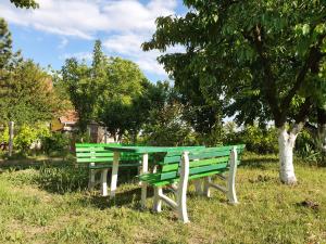 Gallery image of Vila Rio - obronci Fruške Gore in Slankamenački Vinogradi +87 photos