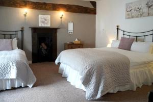 a bedroom with two beds and a fireplace at The Poppy House in Bishops Castle